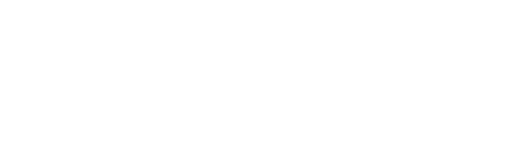 Finess Solutions